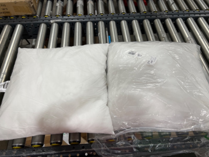 Photo 1 of 2 PACK PILLOW INSSERTS 18 X 18 IN