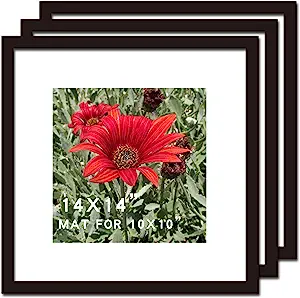 Photo 1 of 14x 14  Picture Frame Black 3 Pack Solid Wood for Mat  35.6x35.6m Wall Mounting Square Poster Photo Frames  