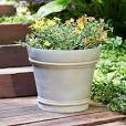 Photo 1 of 2 Pack Barcelona Large 16.in Concrete Outdoor Planters
