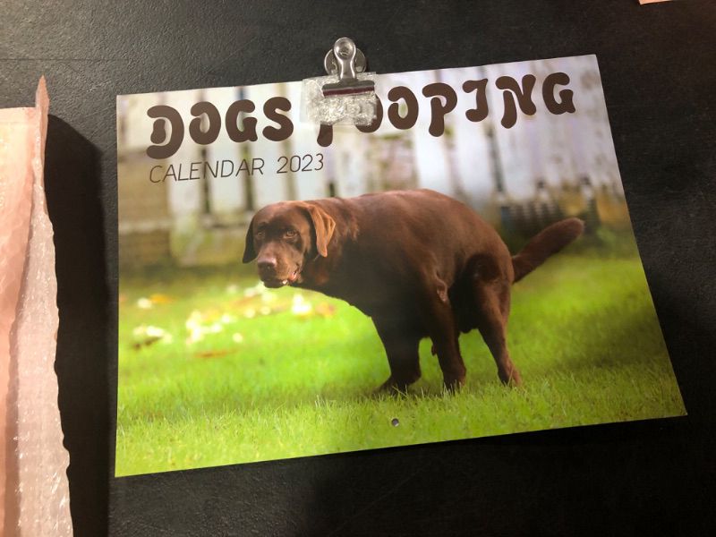 Photo 2 of 2023 Wall Calendar Funny - Dogs Pooping Calendar 2023 - 12'' x 18" Opened, January 2023 - December 2023, Giftable Magnetic Calendar for Fridge for Easy Organizing and Planning