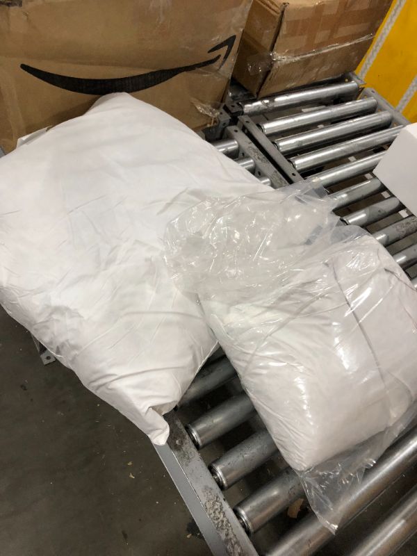 Photo 1 of 2 Med Sized Pillows 