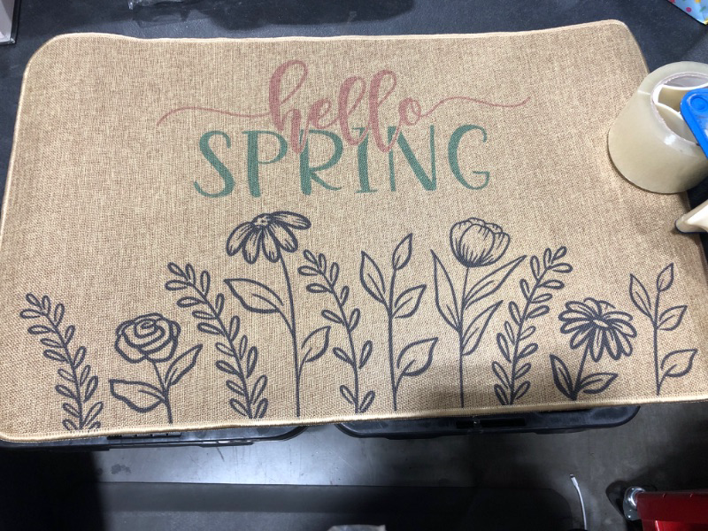 Photo 1 of 17" x 27" Hello Spring rug