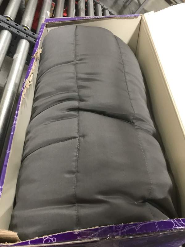 Photo 1 of GREY COMFORTOR 
TWIN 