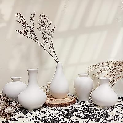 Photo 1 of  Small Flower Vases of 5, Living Room Decorations Bud vase, Modern Ceramic White Vase for Home Decor, Bud Vases in Bulk for Coffee Table Centerpieces Book Shelf Decor(White)
