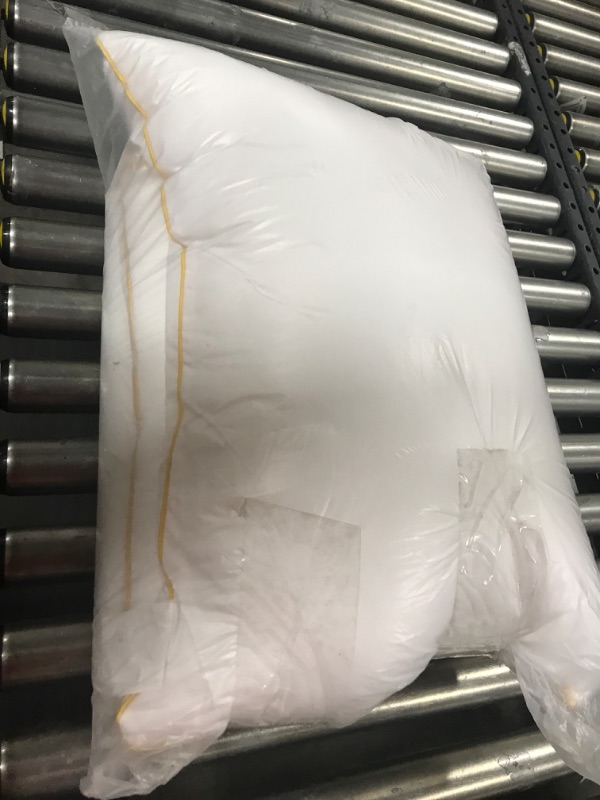 Photo 1 of 2pk of generic pillows