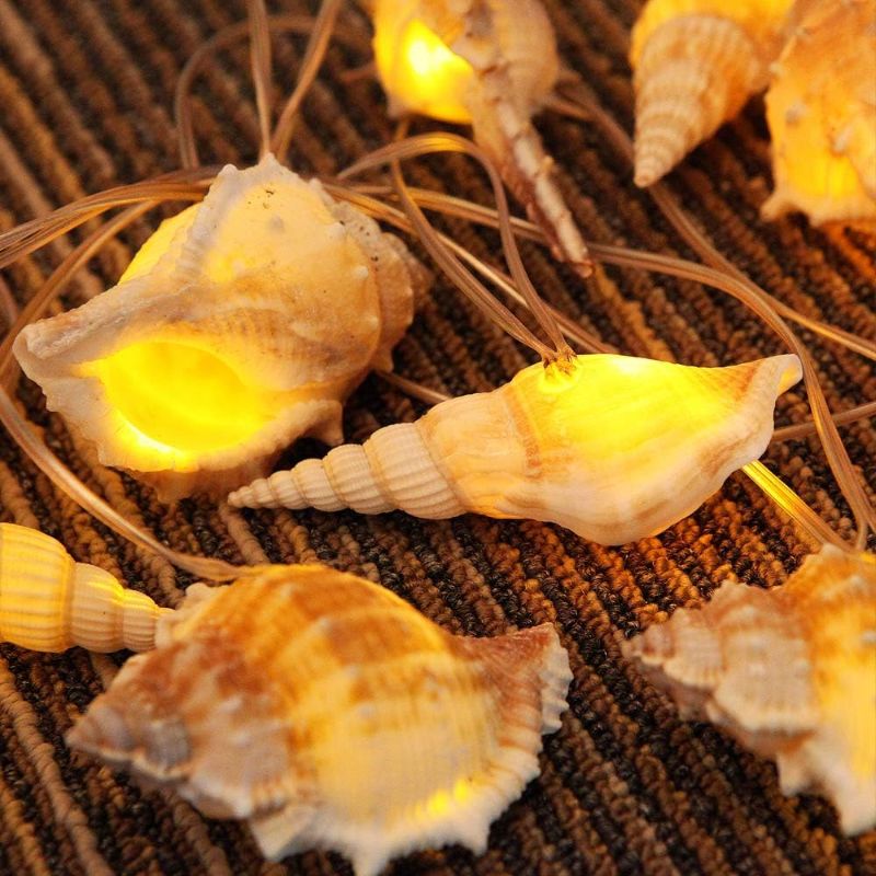 Photo 1 of MH Battery Operated 10 Ft Natural Conch Beach Theme String Lights with 10 Warm White LED Lights for Holiday Party Bedroom Wedding Decorations