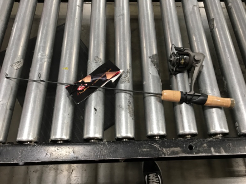 Photo 1 of berkley lightning rod