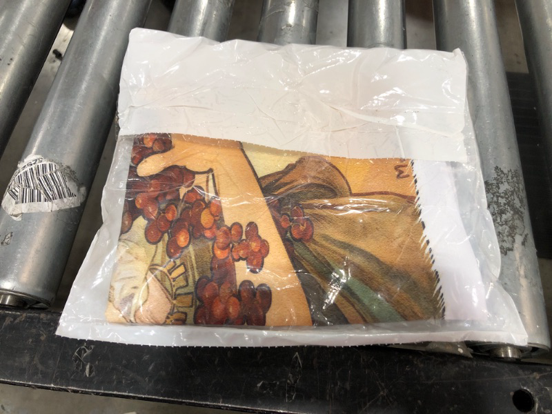 Photo 2 of 3dRose Painting by Alphonse Mucha Fruit-Pillow Case, 16 by 16" (pc_61840_1) 16" x 16"