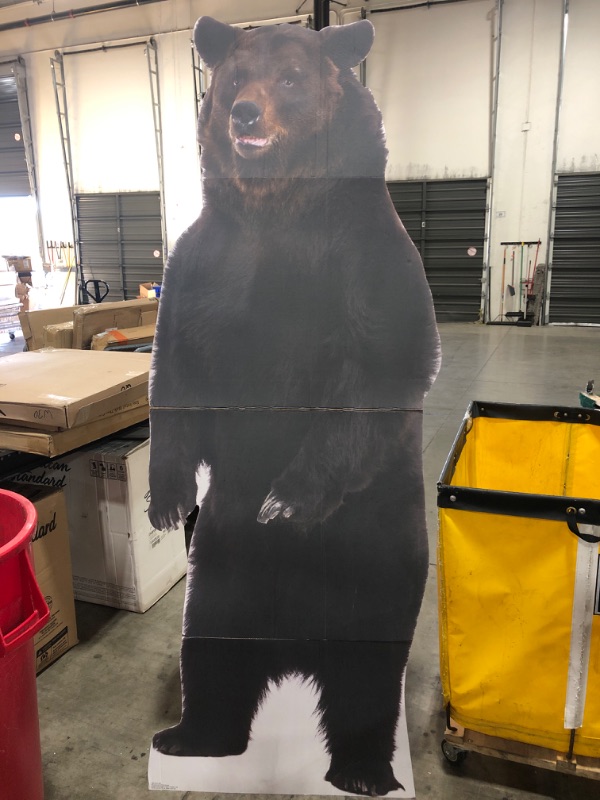 Photo 2 of Advanced Graphics Brown Bear Life Size Cardboard Cutout Standup