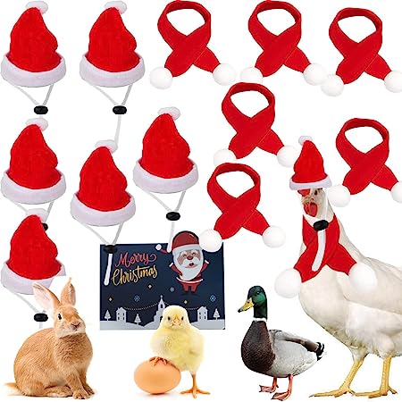 Photo 1 of 12 Pieces Chicken Christmas Hats Scarf Red Santa Hat Cloak and Scarf Pet Costumes with Adjustable Chin Strap for Hens Duck Rabbit Kitten Christmas Supplies
