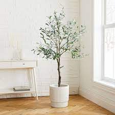 Photo 1 of 50" TALL ARTIFICIAL PLANT - WHITE POT