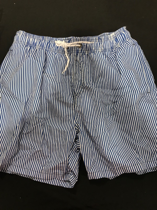 Photo 1 of [Size M] Blue and White Striped Swim shorts