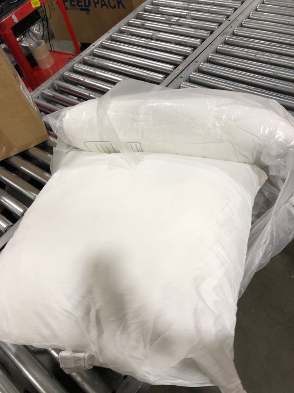 Photo 1 of  2 Pillows 