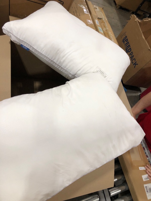 Photo 1 of 2 Pillows Size Unknown 