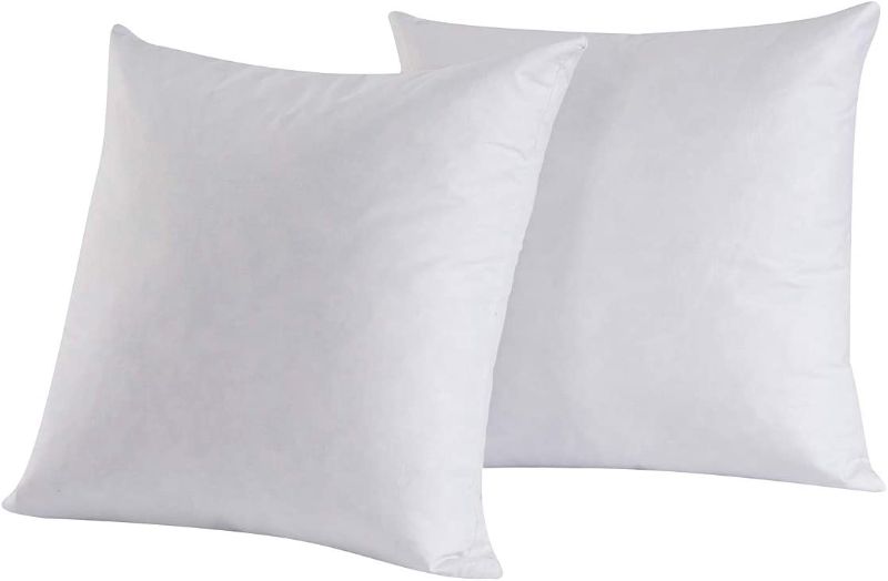 Photo 1 of 26 x26 : PILLOW INSERTS 2 PACK 