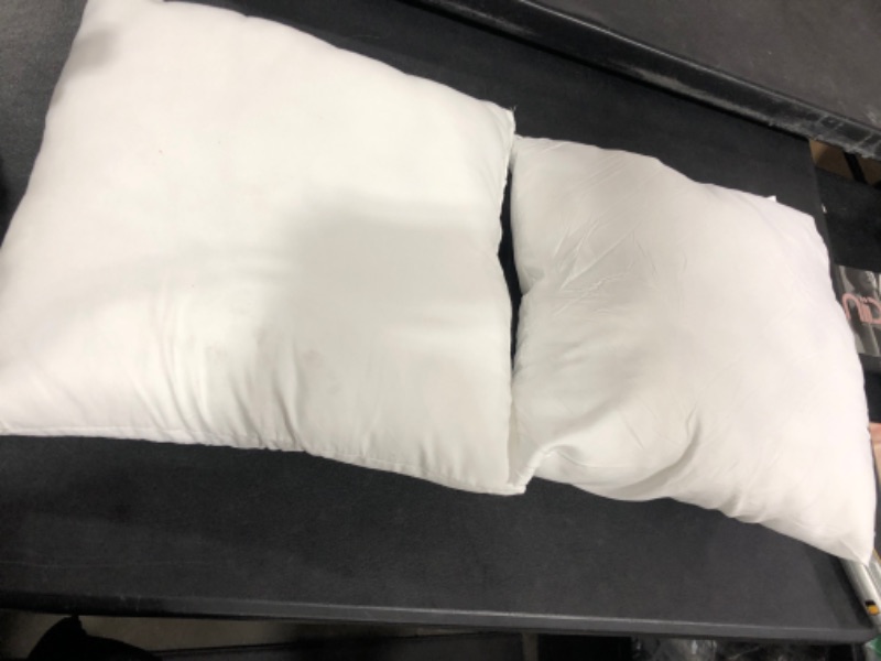 Photo 1 of 20 X 20 PILLOW INSERTS 