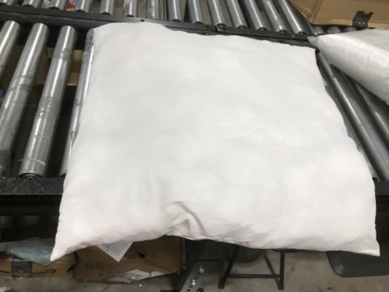 Photo 2 of 1 - Lightweight Down Alternative Polyester Pillow, Couch Cushion, Sham Stuffer, Machine Washable.size 22 x 22 