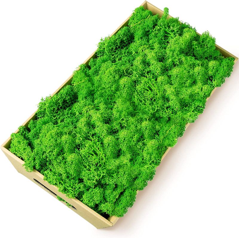 Photo 1 of 1.65lb Preserved Reindeer Craft Moss Natural Green DIY Kit Fairy Gardens Gardenning Art Wall Decor Florist Easter Table Decor Wedding Decor (Light Green)
