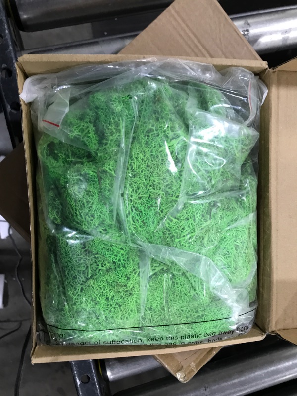 Photo 2 of 1.65lb Preserved Reindeer Craft Moss Natural Green DIY Kit Fairy Gardens Gardenning Art Wall Decor Florist Easter Table Decor Wedding Decor (Light Green)
