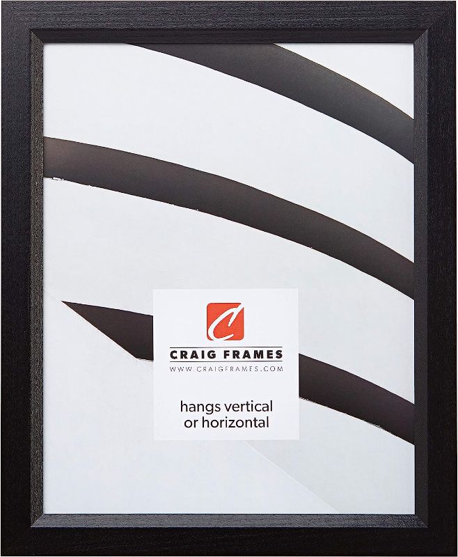 Photo 1 of 2 pack Craig Frames 7171610BK 24 x 36-Inch Poster Frame, Wood Grain Finish, 0.825-Inch Wide, Solid Black
