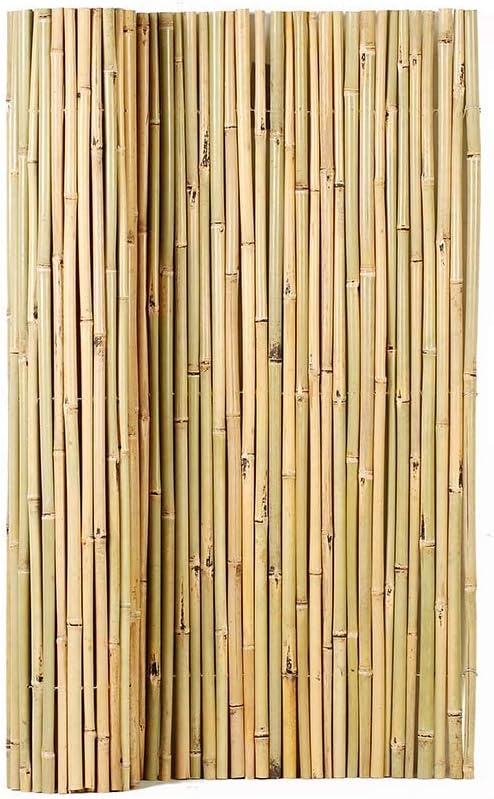 Photo 1 of 
Mininfa Natural Rolled Bamboo Fence, Eco-Friendly Bamboo Fencing, 0.032 in D x 4 feet High x 6 feet Long, Bamboo Screen for Garden, Privacy