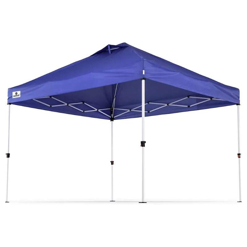 Photo 1 of 10? X 10? One Touch Canopy