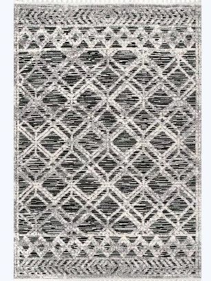 Photo 1 of **USED** Gray Shaggy Lattice Tassel Area Rug 2'6''x8'