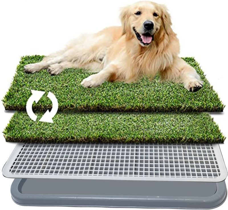 Photo 1 of 2 PCS Grass Pad for Dogs, Dog Grass Pad with Tray, Washable Artificial Dog Pee Grass, Reusable Puppy Pee Training Pad, 2 Pack Dog Potty Grass 22.4 x 18 Inch, Dog Litter Box Dog Tray 25.6 x 18.9 Inch 25.6 x 18.9 Inch 2pack with tray