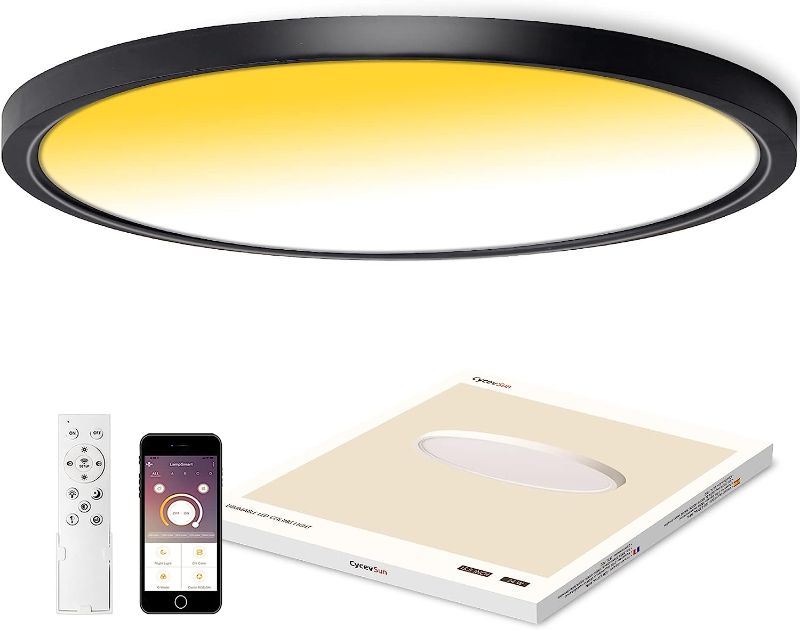 Photo 1 of **MINOR DAMAGE** CycevSun 20 Inch LED Ceiling Light with Remote Control, Large Black Flush Mount Bedroom Light, Dimmable & Color Changing, 30W, 120-240V
