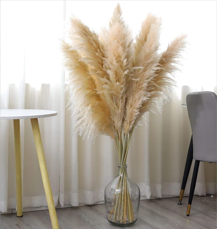 Photo 1 of 10 Stems of 46" inch Natural Pampas Grass Decor Tall,Dried Pompas Grass Flower Bundles,Large and Fluffy Pampas Grass for Weding,Floor Vase,Farmhouse,Boho Home Decor
