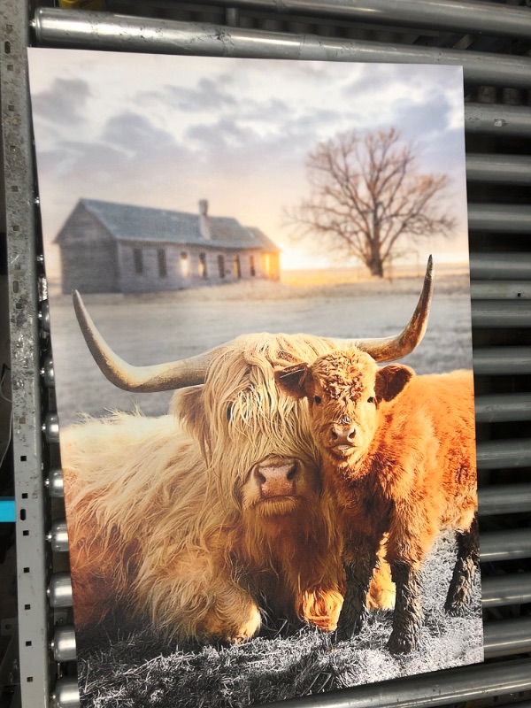 Photo 1 of 23.4" x 35.5" Bull Canvas