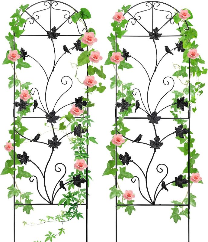 Photo 1 of 2 Packs 46"x17" Metal Garden Trellis for Climbing Plants Rustproof Sturdy Black Iron Trellis Plants Support Outdoor for Climbing Vegetable Rose Potted Plants Flower Cucumber Clematis
