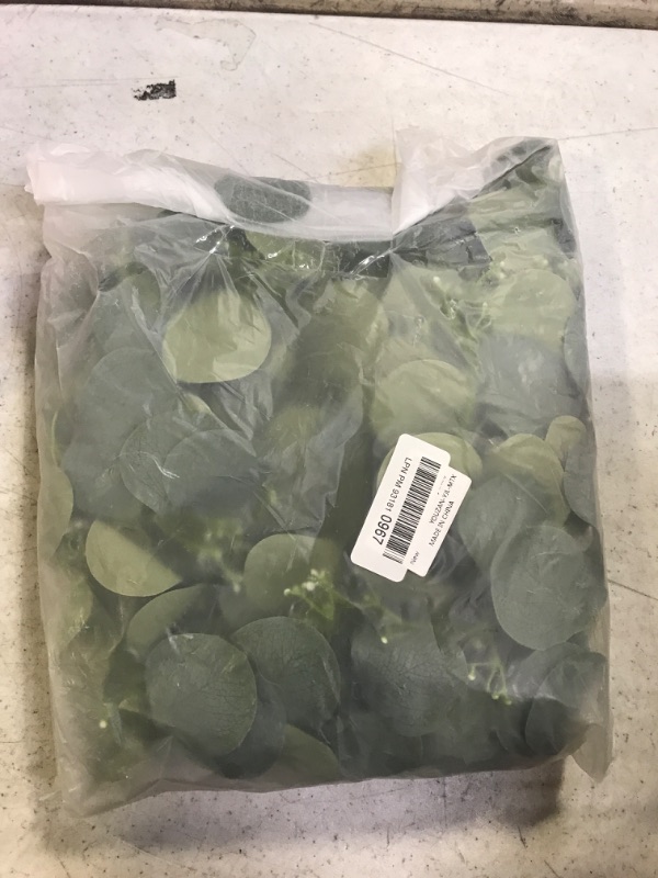 Photo 1 of 2 Packs Artificial Silver Dollar Eucalyptus Leaves Garland 6 Feet Faux Seeded Eucalyptus Greenery Hanging Garland Vine for Wedding Baby Shower Holiday Greens