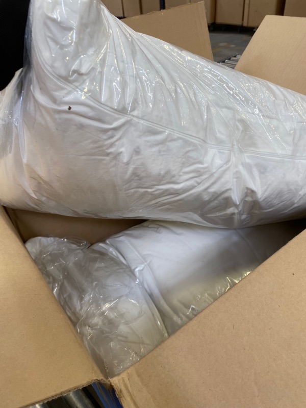 Photo 1 of 2 LARGE PILLOWS 