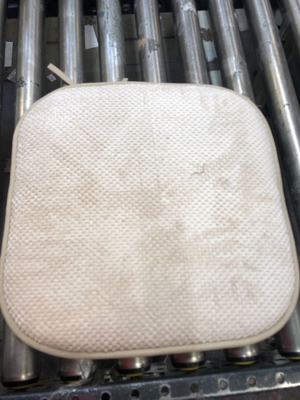 Photo 1 of 1 seat cushion (beige)