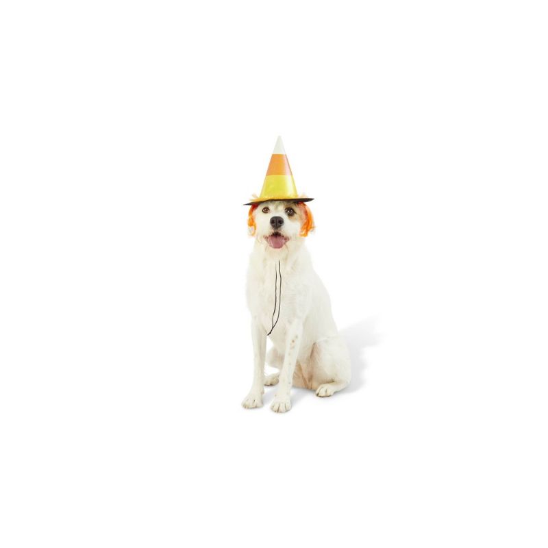 Photo 1 of Halloween Candy Corn Witch Hat Dog Costume - S/M - Hyde & EEK! Boutique