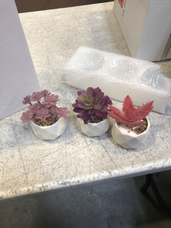 Photo 1 of 12pc set of succulents 