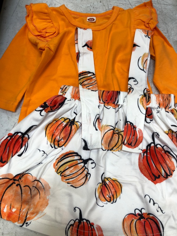 Photo 1 of 2 PIECE GIRLS SET FALL SIZE 18-24M