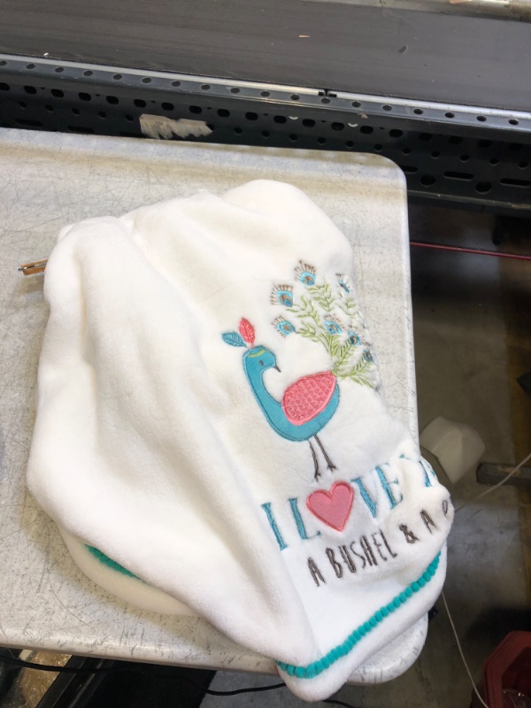 Photo 2 of Levtex Baby - Fiona Plush Blanket - Embroidered Birds and Flowers on Pink Plush - Pink, Teal, White - Nursery Accessories - Blanket Size: 30 x 40 in.