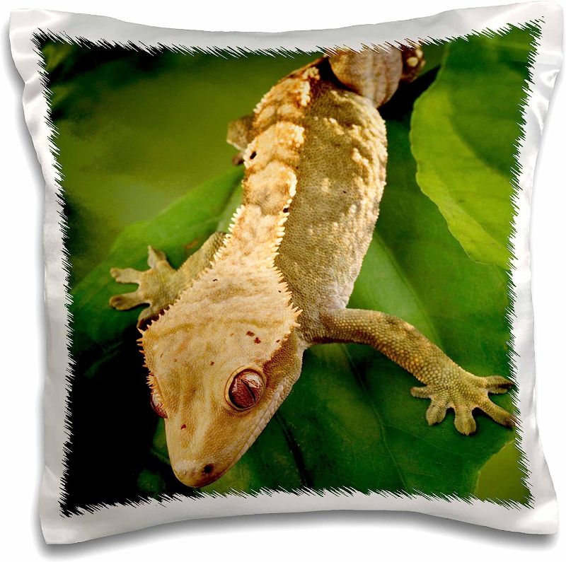 Photo 1 of 3D Rose New Caledonian Crested Gecko Lizard-Na02 Mpr0086-Maresa Pryor Design Pillowcase, 16" x 16"
