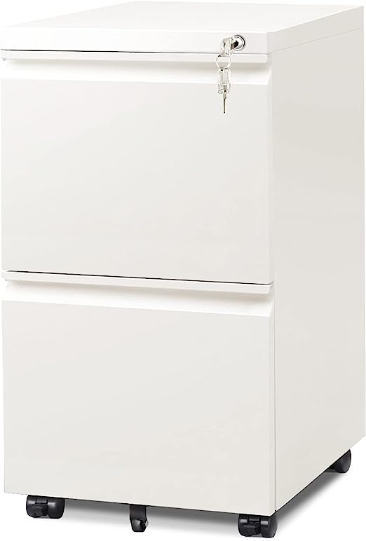 Photo 1 of DEVAISE 2-Drawer Mobile File Cabinet with Lock, Commercial Vertical Cabinet, White