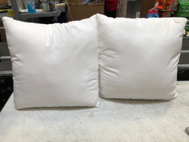 Photo 1 of 2 pillows 20  x 20 