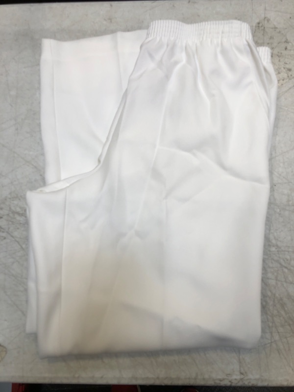 Photo 2 of Alfred Dunner Classics Elastic Waist Pants White 10 Petite White