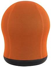Photo 1 of Safco Products Zenergy Stability Exercise Ball Chair, 23" H, 360-Degree Turn