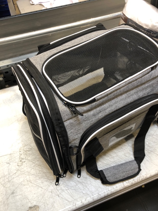 Photo 1 of Airline Approved Large Pet Travel Carrier,