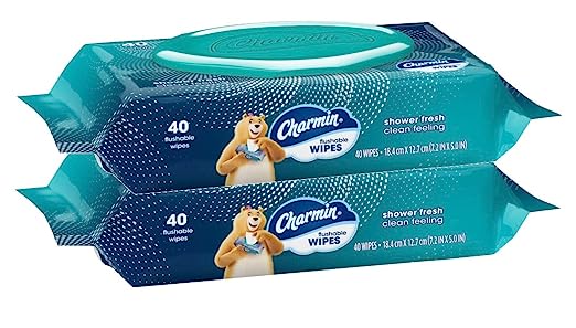 Photo 1 of Charmin Freshmates Flushable Wipes with Refillable Tub (Pack of 2)