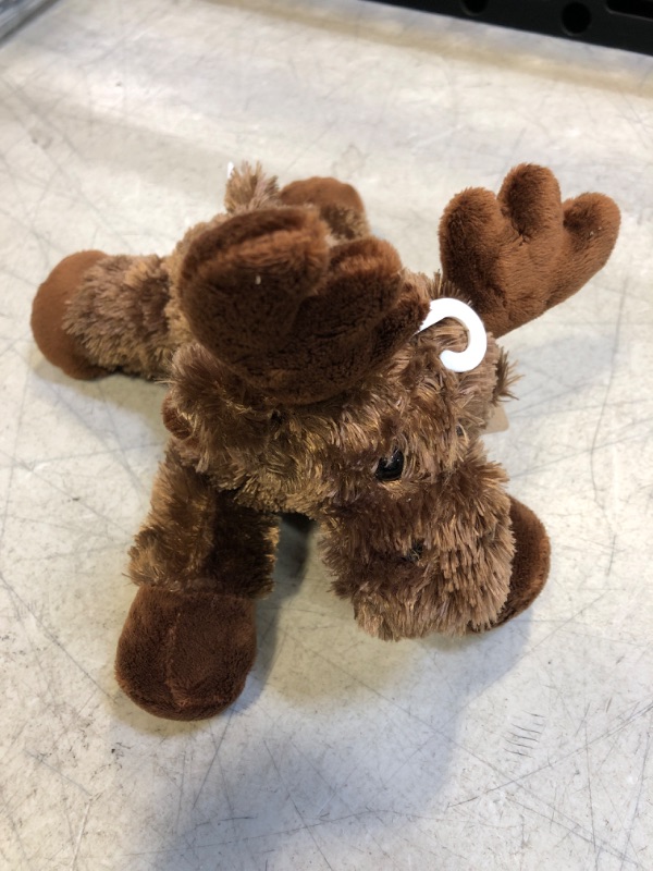 Photo 2 of Aurora - Mini Flopsie - 8" Maxamoose Moose