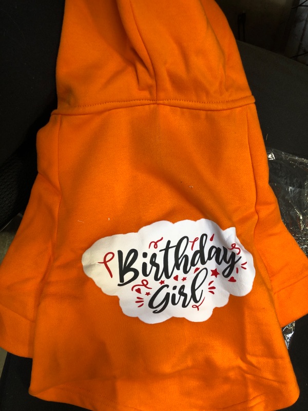 Photo 2 of BIRTHDAY GIRL DOG HOODIE SIZE M