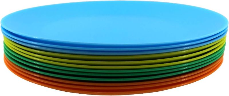 Photo 1 of AOYITE Plastic Dinner Plates Reusable BPA Free Dishwasher Safe Microwaveable for Any Occasion, BBQ, Travel, and Events (Multicolor set of 12)

