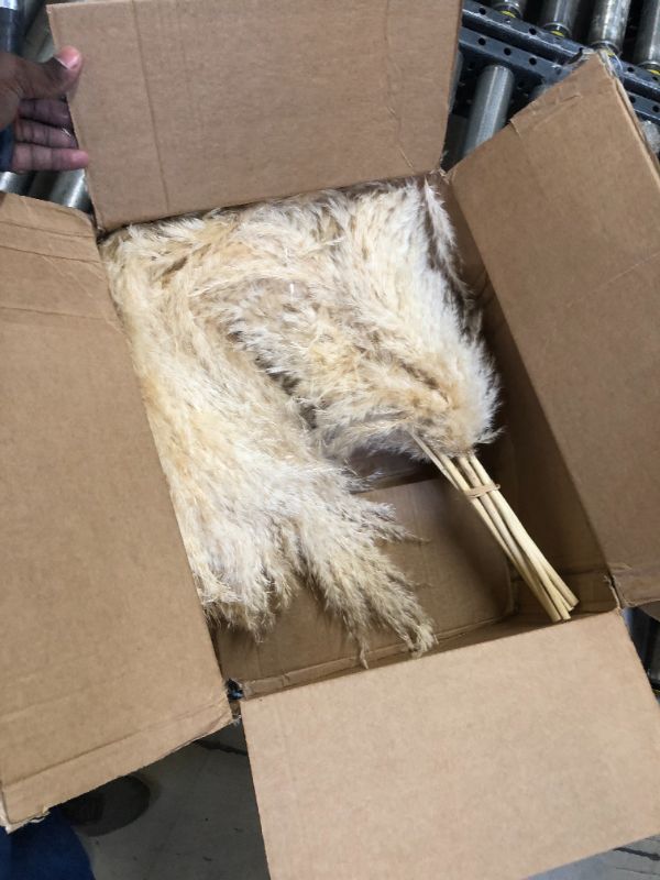 Photo 2 of 40" inch 10 Stems Natural Pampas Grass Decor Tall, pompas Grass, Tall Pampas Grass for Wedding, Party, Farmhouse, Boho Home Decor 40inch tall pampas grass-A